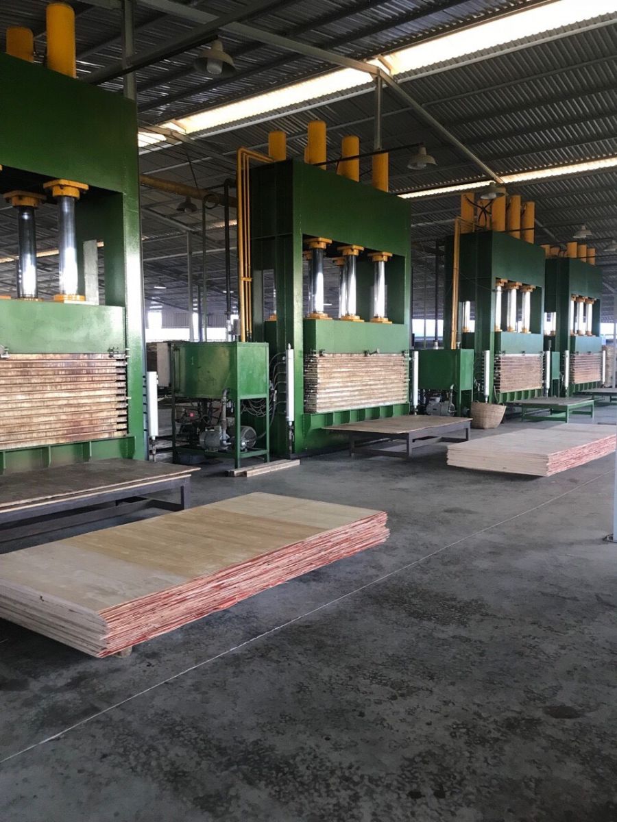 nhà máy ván ép phủ phim, công ty ván phủ phim, đại lý ván phủ pim, cửa hàng ván phủ phim tại TPHCM