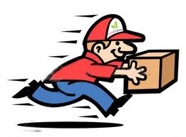 In báo giá Online - Tra cứu đơn hàng Online